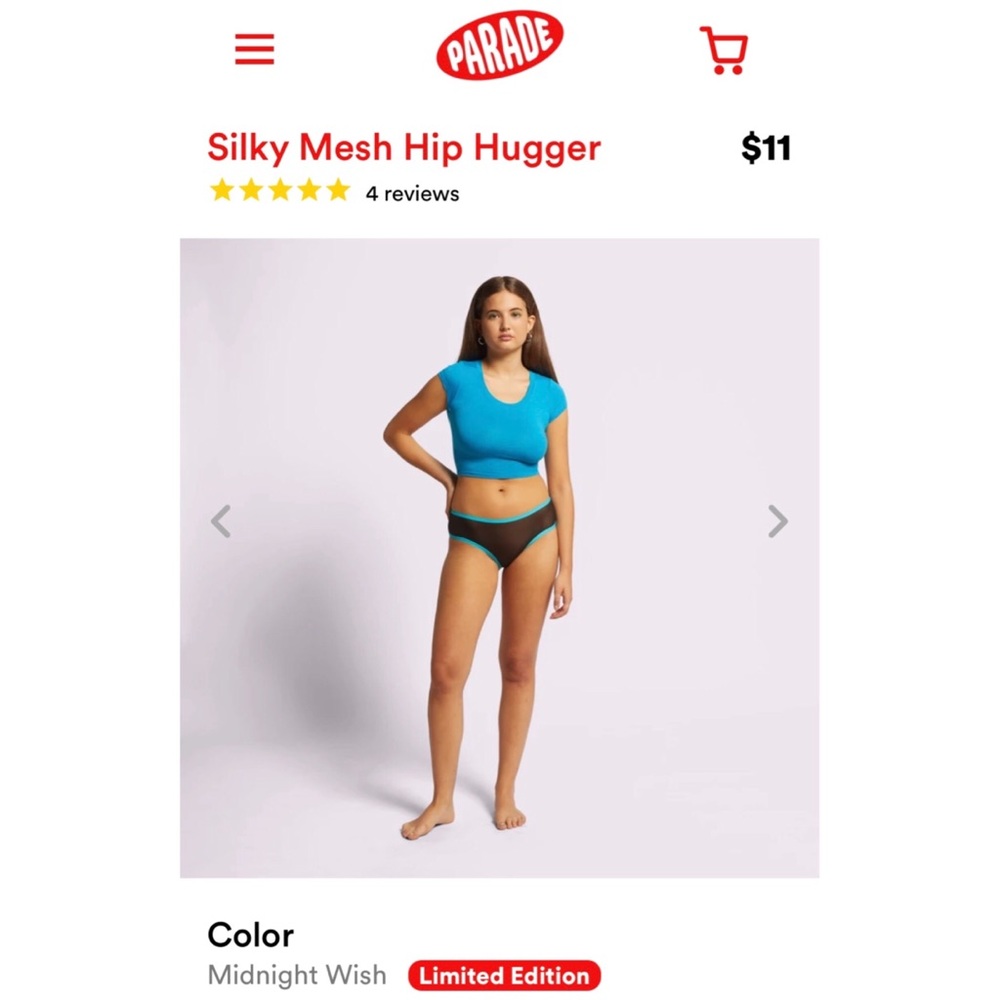 Silky Mesh Hip Hugger by Parade size S (x3!)